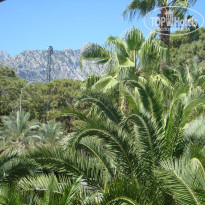 фото из отзыва ID 610616