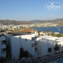 фото из отзыва ID 610648