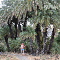 фото из отзыва ID 610801