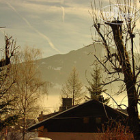 фото из отзыва ID 61051