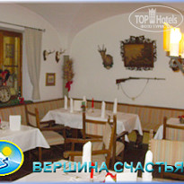 фото из отзыва ID 61053