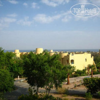 фото из отзыва ID 61076