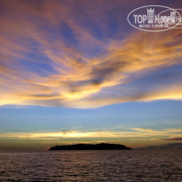 фото из отзыва ID 611613