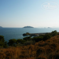 фото из отзыва ID 611719