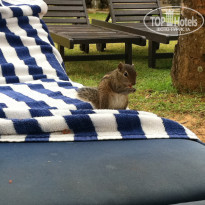 фото из отзыва ID 611820