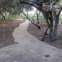 фото из отзыва ID 611872