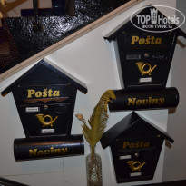 фото из отзыва ID 611486