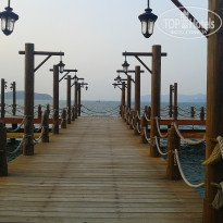 фото из отзыва ID 611447