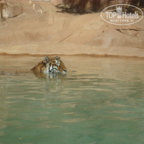 фото из отзыва ID 612326