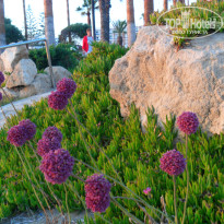 фото из отзыва ID 613112