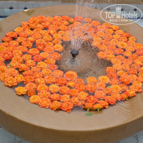 фото из отзыва ID 613572