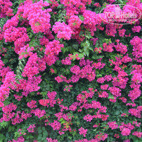 фото из отзыва ID 613572