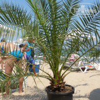 фото из отзыва ID 613568