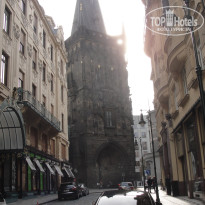 фото из отзыва ID 613679