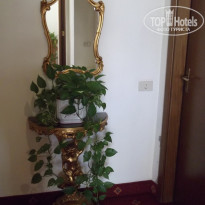 фото из отзыва ID 613991