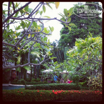 фото из отзыва ID 614283