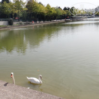 фото из отзыва ID 614481