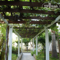 фото из отзыва ID 614195