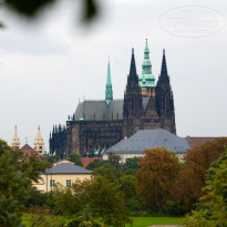 фото из отзыва ID 614766