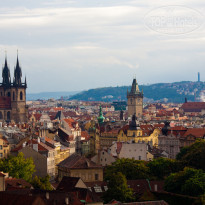 фото из отзыва ID 614766