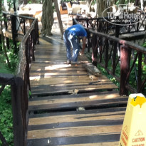 фото из отзыва ID 614249