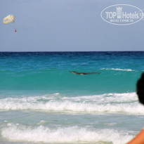 фото из отзыва ID 616278