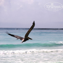 фото из отзыва ID 616278