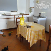 фото из отзыва ID 616469