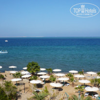 фото из отзыва ID 616476