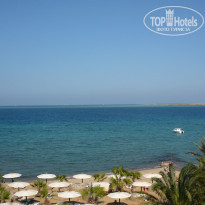 фото из отзыва ID 616476