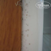 фото из отзыва ID 61616