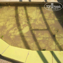 фото из отзыва ID 61616