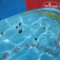 фото из отзыва ID 61616