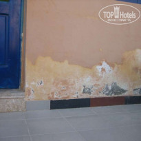 фото из отзыва ID 61616