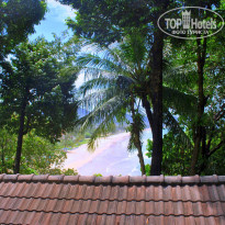 фото из отзыва ID 619130