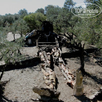 фото из отзыва ID 619882