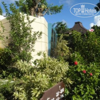 фото из отзыва ID 620051