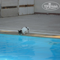 фото из отзыва ID 620387