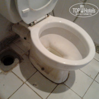 фото из отзыва ID 621996