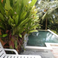 фото из отзыва ID 622112