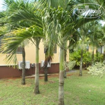 фото из отзыва ID 622112