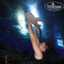 фото из отзыва ID 622620