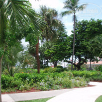 фото из отзыва ID 623211