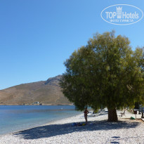 фото из отзыва ID 623338