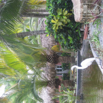 фото из отзыва ID 623846