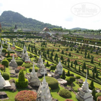 фото из отзыва ID 624183