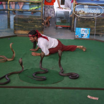 фото из отзыва ID 624183