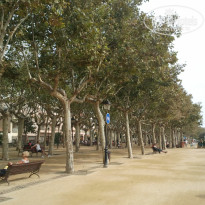 фото из отзыва ID 625151