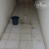 фото из отзыва ID 625649