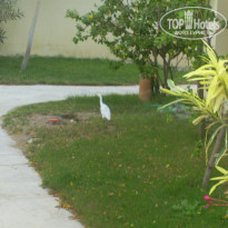 фото из отзыва ID 625948